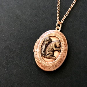 Rose Gold Squirrel Locket Necklace Copper Ox Squirrel Woodland Animal Locket Vintage Style Teen Jewelry Gifts for Friends Squirrel Collector image 4