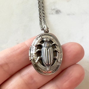 Oval Beetle Locket Silver Insect Necklace Gothic Creepy Bug Men's Locket Entomologist Gift Scarab Jewelry Unisex Photo Locket Vintage Style image 2