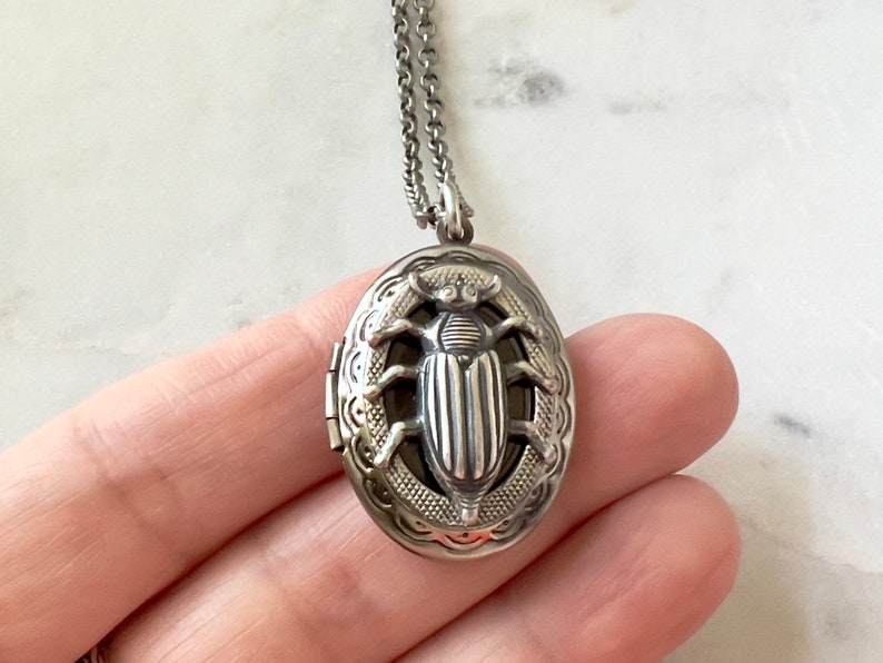 Oval Beetle Locket Silver Insect Necklace Gothic Creepy Bug Men's Locket Entomologist Gift Scarab Jewelry Unisex Photo Locket Vintage Style image 2