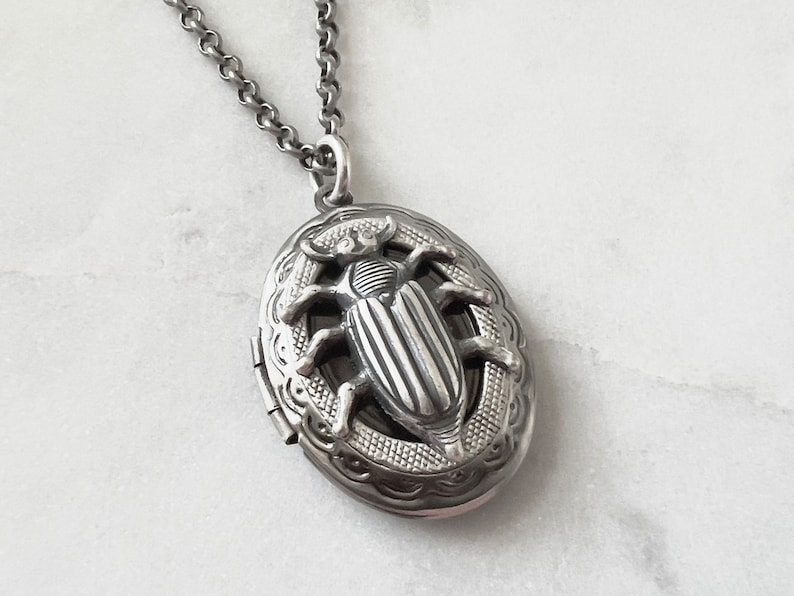 Oval Beetle Locket Silver Insect Necklace Gothic Creepy Bug Men's Locket Entomologist Gift Scarab Jewelry Unisex Photo Locket Vintage Style image 1