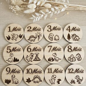 May include: A set of twelve circular light-colored wooden discs, each engraved with a number from 1 to 12 followed by the text 'Mois' and a unique dinosaur illustration. The discs feature various prehistoric scenes including volcanoes, trees, and rocks.