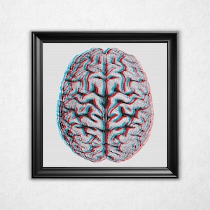 3D Brain Cross Stitch Pattern PDF - Anaglyph 3-D Bitmap Style Counted Crossstitch