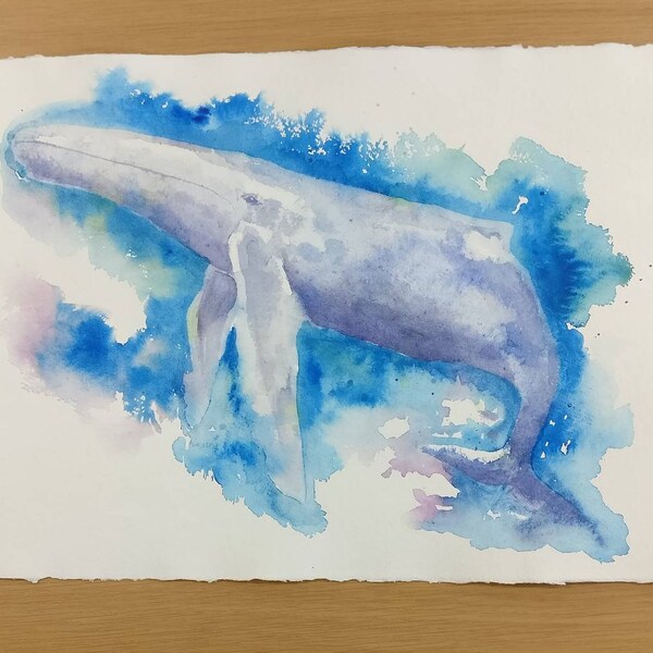 A3 original humpback whale watercolour painting