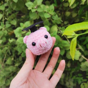 May include: A pink crocheted pig wearing a black graduation cap. The pig is being held in a person's hand.