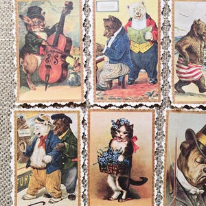 May include: A collection of vintage-style postcards featuring anthropomorphic animals. The cards depict a rabbit playing a cello, bears reading and playing piano, a cat with flowers, and a dog in a suit. Each card has a decorative scalloped edge.