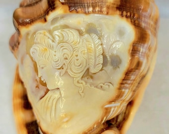 Carved Cameo Conch Shell, Made in Italy