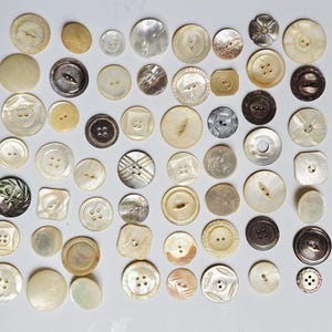 May include: A collection of vintage buttons in various sizes and shapes. The buttons are primarily cream, ivory, and brown, with some featuring iridescent mother-of-pearl. Styles include round, square, and flower-shaped, with two or four holes.