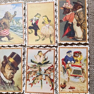 May include: A collection of vintage-style postcards featuring anthropomorphic animals in various scenes. The cards depict a bear at the beach, frogs dancing, bears and dogs in formal attire, a bulldog in a top hat, a frog playing a lute, and animals in a car.