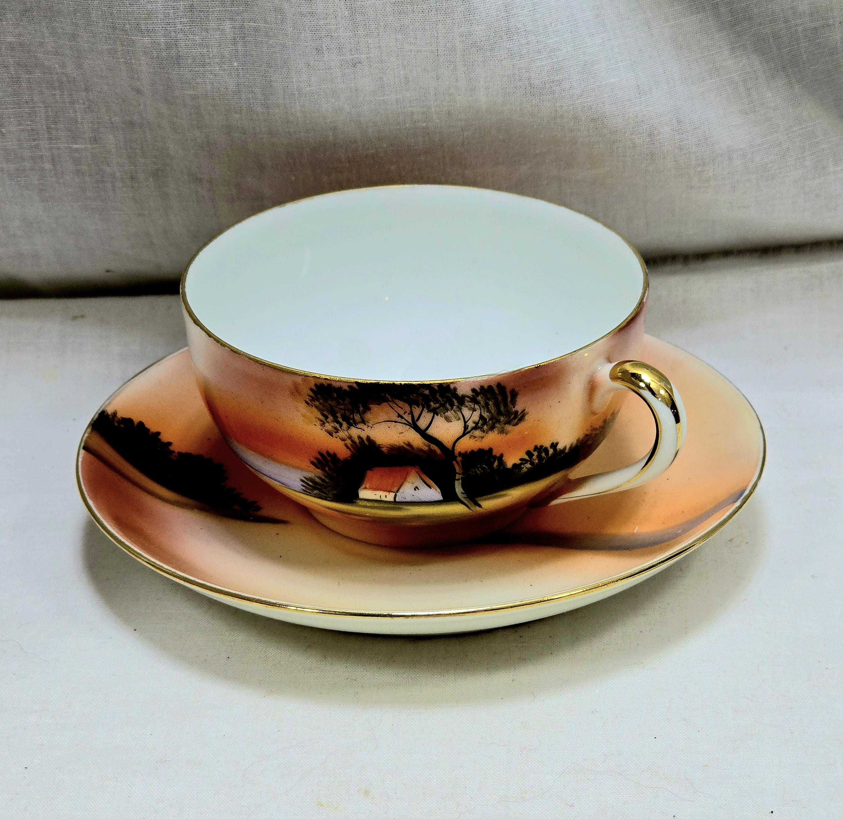 ノリタケハンドペイント　タイサンボク Vintage Noritake Japan Hand Painted Sunset Landscape Tea Cup