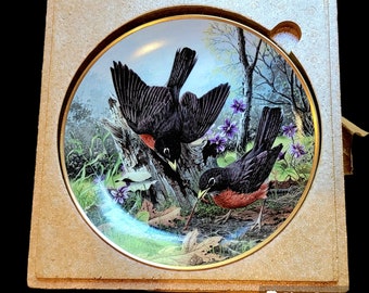 ROBIN Hunting for Food A J Rudisill Plate The National Audubon Society Bird 1983, New in Box