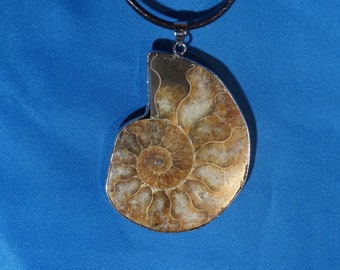 Large A grade Ammonite Pendant