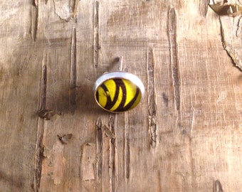 Unisex Yellow stud with zebra stripe