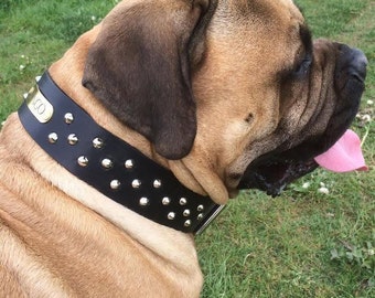 extra large dog collar mastiff