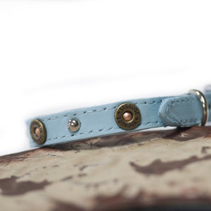 May include: Light blue leather dog collar with brass bullet accents and a silver buckle.