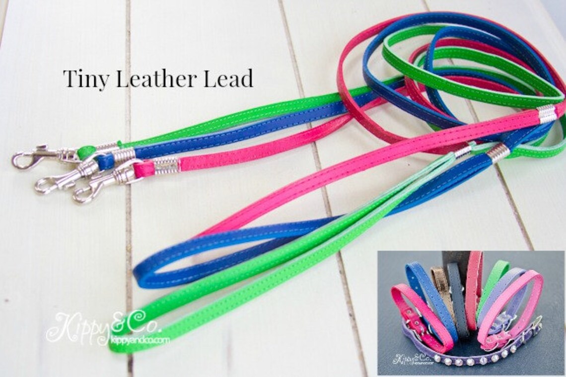 Teacup Dog Collar Leather Dog Collar Chihuahua Collar Cat Etsy