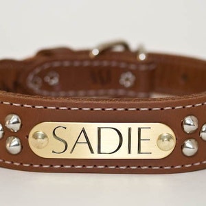 Personalized Leather Dog Collar, Engraved Dog Collar, Dog Collar 2 inch Dog Collar Leather Personalized Custom Engraved Real Solid Leather image 3