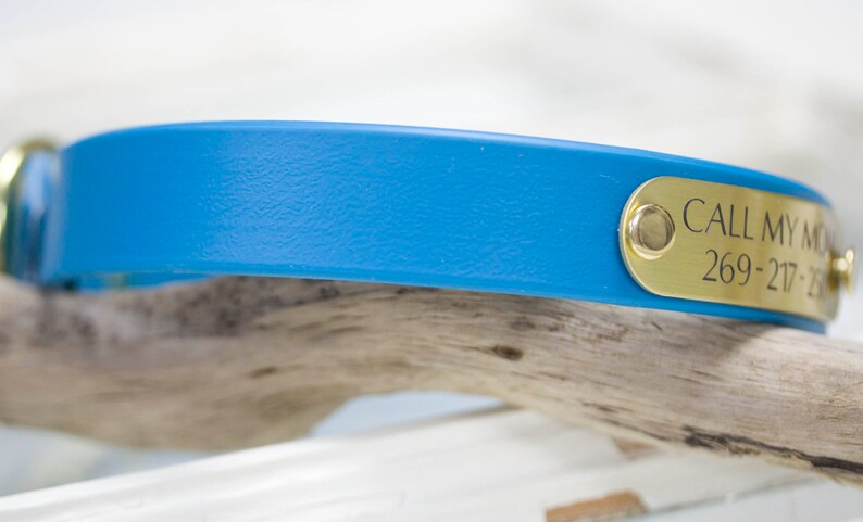 May include: A bright blue leather dog collar with a gold metal tag that reads "CALL MY MOM 269-217-28".