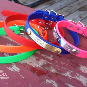 Waterproof Personalized Dog Collar, Small Collar, Waterproof Collar, Small Pet Collar, Personalized Dog Collar, Engraved Collar w NAME PLATE
