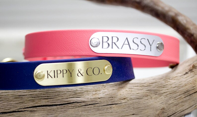 Pode incluir: Duas coleiras para c&atilde;es com etiquetas de nome personalizadas. A coleira superior &eacute; rosa com uma etiqueta prateada que diz "BRASSY". A coleira inferior &eacute; azul marinho com uma etiqueta dourada que diz "KIPPY & CO."