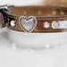 see more listings in the 3/4 inch Wide Collars section