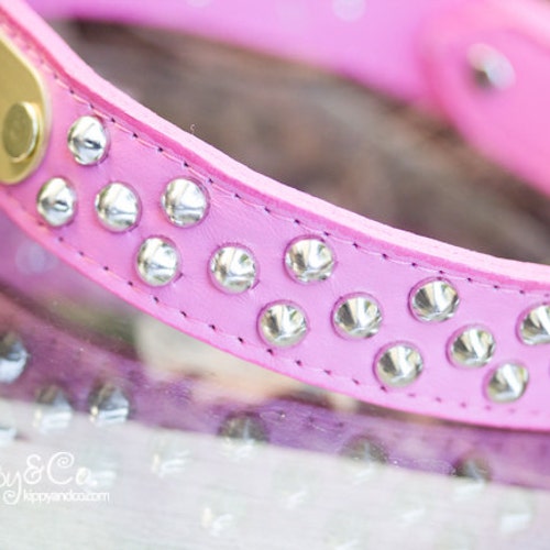 Dog Collar With Name Plate Pink Dog Collar Personalized Etsy