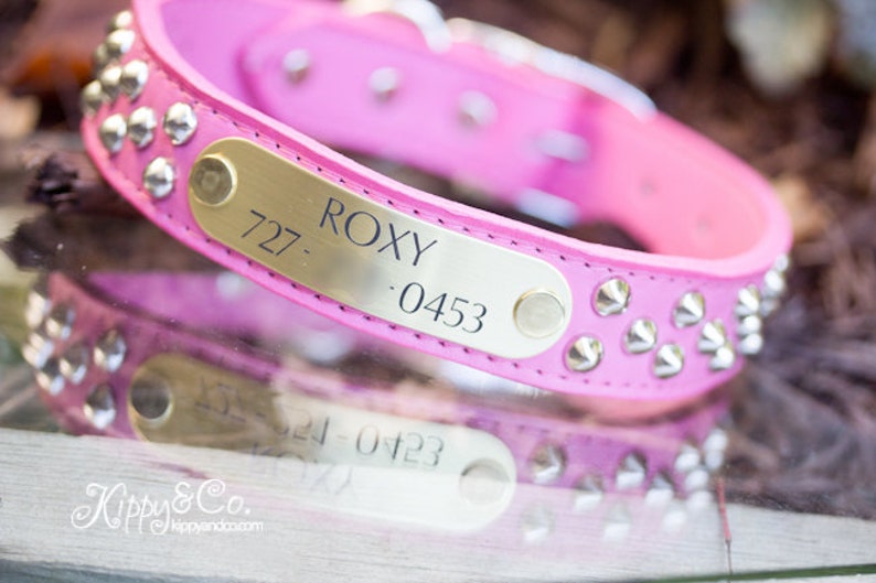 Dog Collar With Name Plate Pink Dog Collar Personalized Etsy