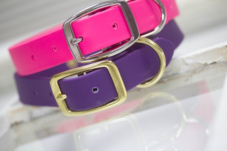 May include: Two dog collars, one pink and one purple, with silver and gold buckles.