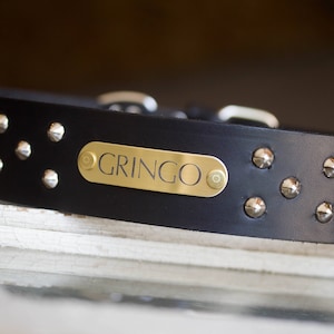 Wide Dog Collar, Bull mastiff Dog Collar, Large Breed Dog Collar, Big Dog Collar, Name Engraved Dog Collar with Silent Name Tag, Large Breed