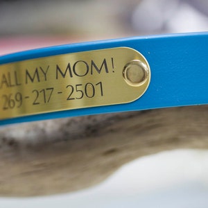 Waterproof Biothane Dog Collar with Nameplate, Odorless, Handmade image 3