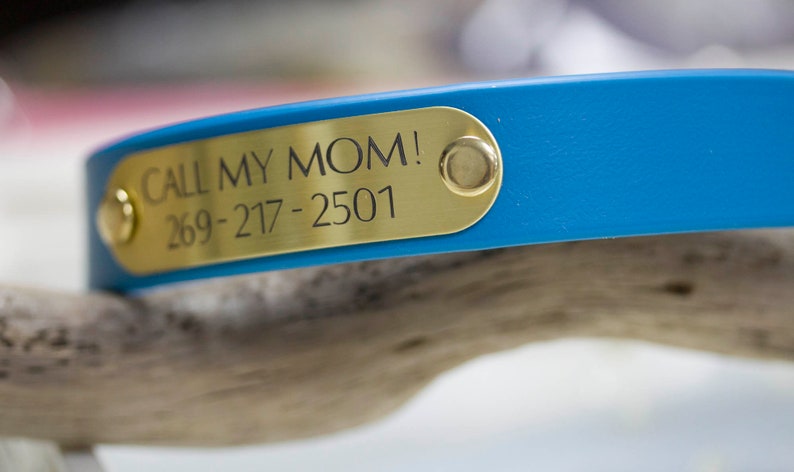 Waterproof Biothane Dog Collar with Nameplate, Odorless, Handmade image 3