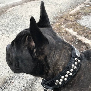 Studded leather collar w/ personalized name plate, custom dog collar, Dog Collar Leather Personalized, Custom Engraved Real Solid Leather