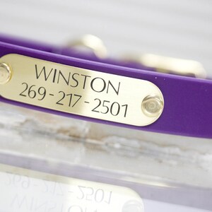 May include: Purple silicone dog collar with a gold metal tag that reads "WINSTON 269-217-2501".