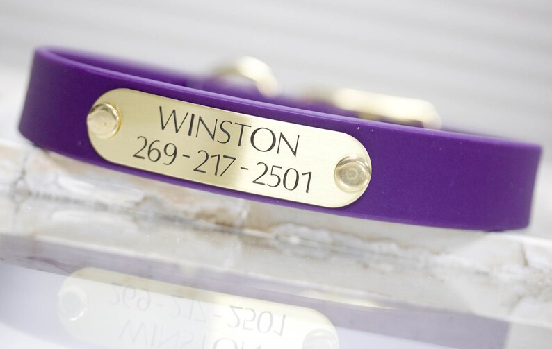 May include: Purple silicone dog collar with a gold metal tag that reads "WINSTON 269-217-2501".