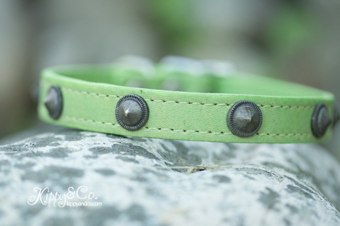 Brass studded dog best sale collar