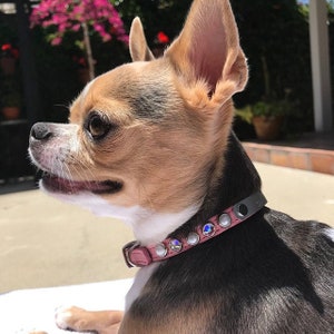 Small Leather Collar, Tea Cup Dog Collar, Collar for Cat, Small Leather Collar, Leather Collar with Crystals, Chihuahua Collar, Dog Collar