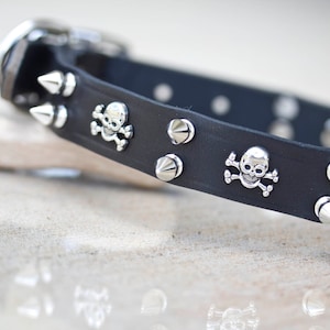 Skull Crossbones, Dog Collar with screw spikes, 1 inch dog collar, Biker Dog Collar, Punk Goth Collar, Leather Dog Collar, Handmade Collar