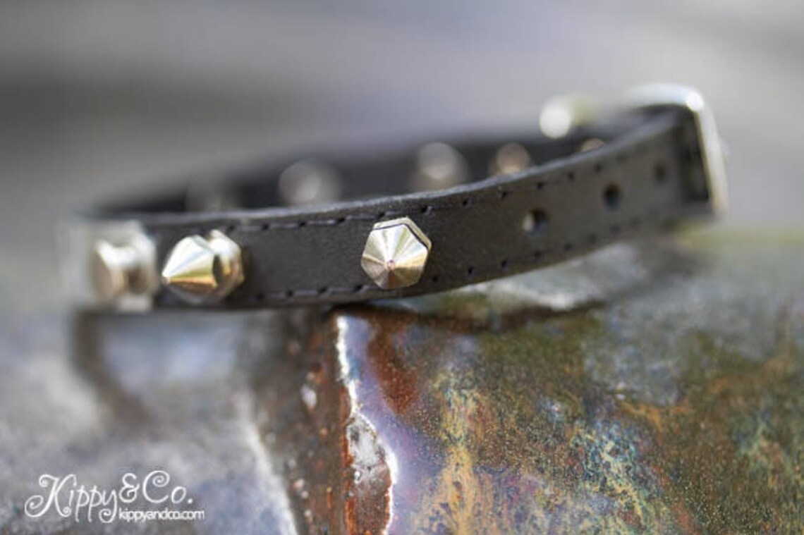 Spiked Cat Collar Thin Collar Leather Collar With Engraved Etsy