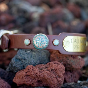 Southwest Leather Collar, Dog Collar with Patina turquoise, Personalized Leather Collar, Goat Collar, Puppy Collar, Turquoise Stones, Sheep