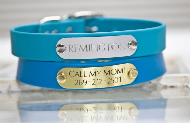 May include: Two dog collars with engraved metal tags. The top collar is turquoise blue with a silver tag that reads "REMINGTON". The bottom collar is a darker blue with a gold tag that reads "CALL MY MOM! 269-217-2501".