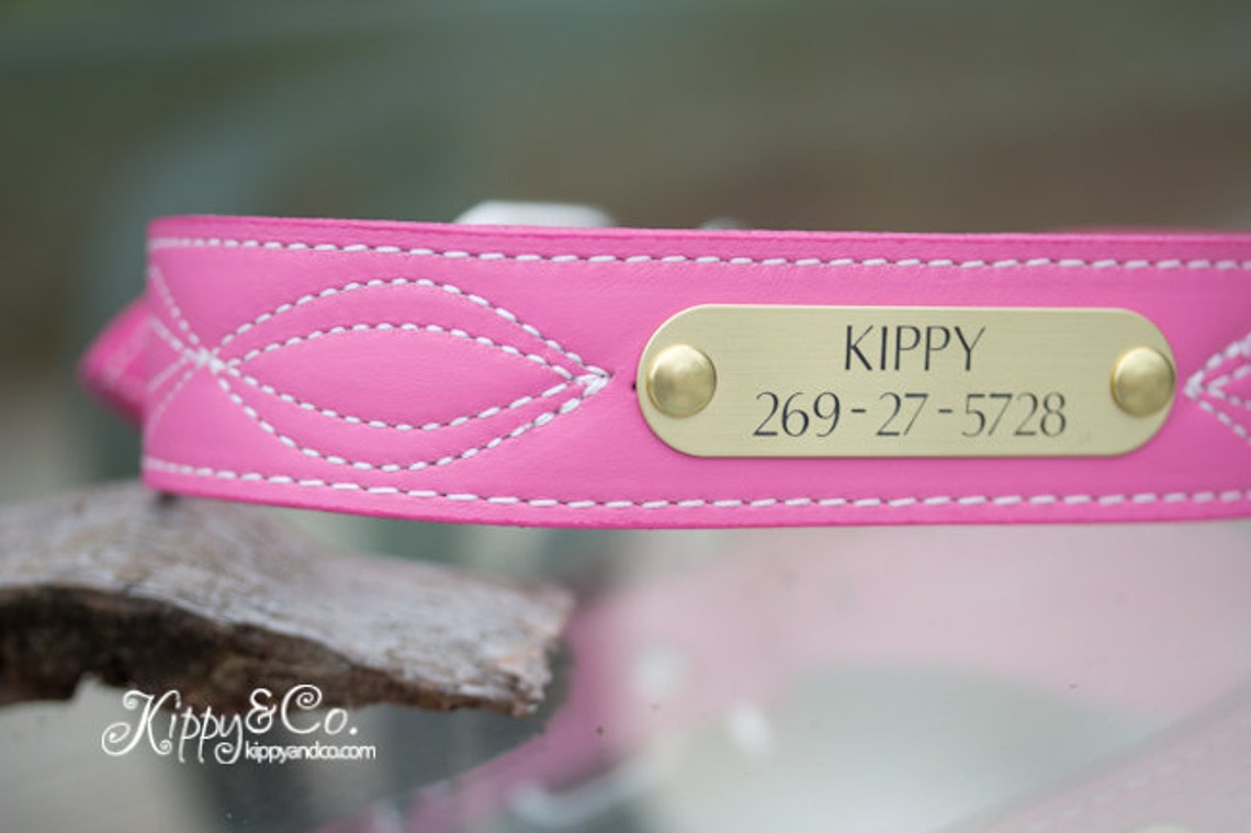 Engraved Leather Name Plate Dog Collar Custom Dog Collar Etsy