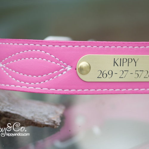 Engraved Leather Name Plate Dog Collar Custom Dog Collar Etsy