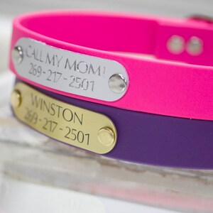 May include: Two dog collars with engraved metal tags. The top collar is pink with a silver tag that reads "CALL MY MOM! 269-217-2501". The bottom collar is purple with a gold tag that reads "WINSTON 269-217-2501".