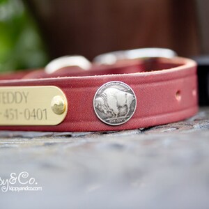 Dog Collar, Leather Dog Collar, Dog Collar Leather, Personalized Dog Collar, Handmade Dog Collar, Dog Collar Personalized, Dog Name Plate