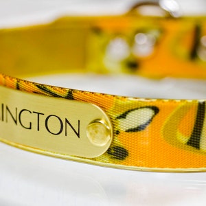 Deer Hunting Collar, Biothane Dog Collar, Sporting Dog Collar, Engraved Name Dog Collar, Waterproof Dog Collar, Hunting Dog Collar, odorless