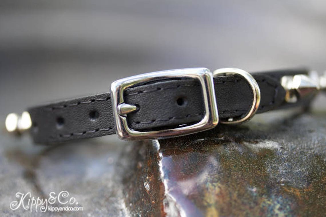 Spiked Cat Collar Thin Collar Leather Collar With Engraved Etsy