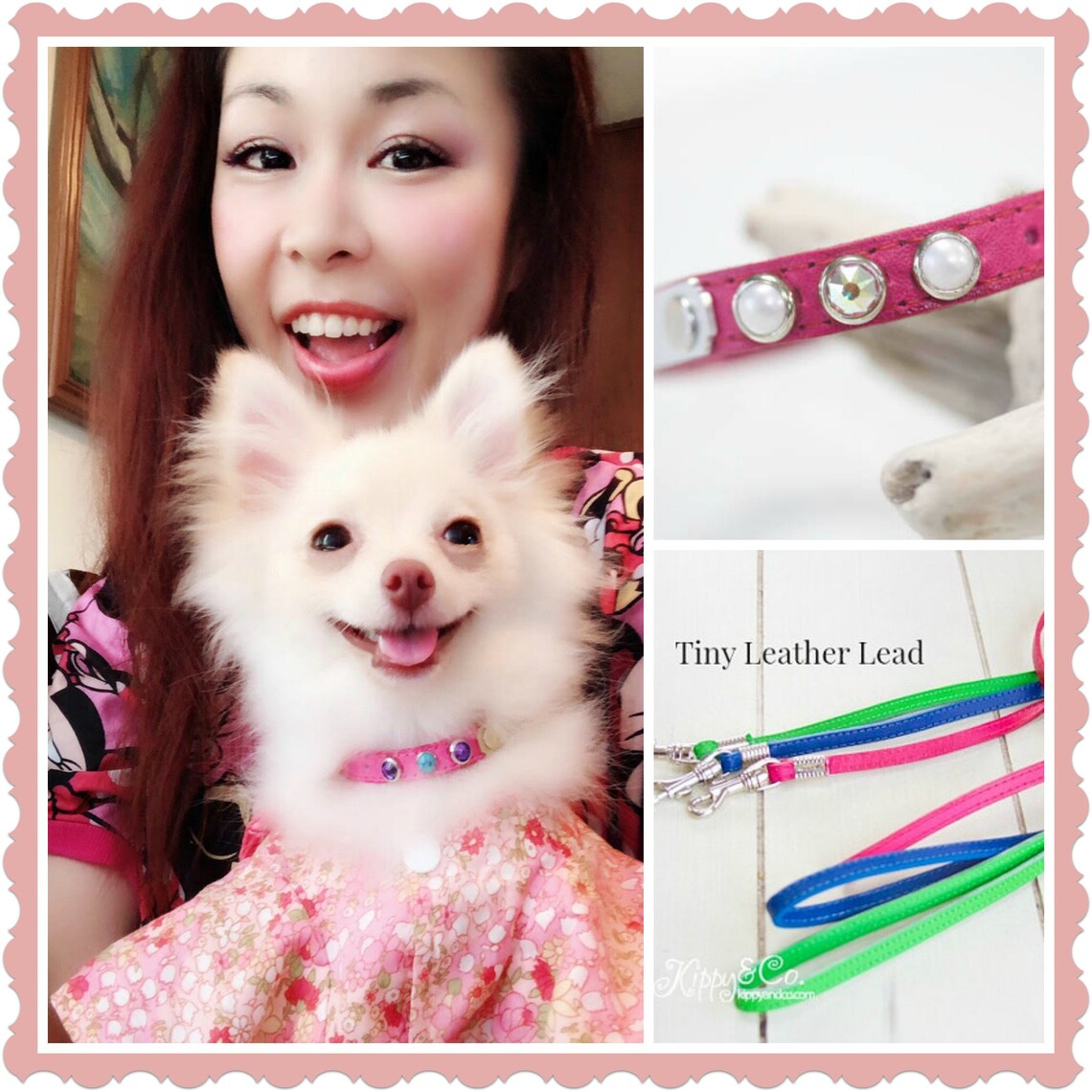 Small Chihuahua Collar Personalized Teacup Dog Collar Tiny Etsy