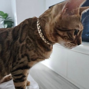 Leather Crystal Cat Collar, Ferret Collar, Kitten Collar, Chihuahua Collar, Thin Collar, Collar for cat, Swarovski Crystals, Goat Collar
