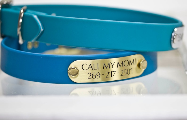 Waterproof Biothane Dog Collar with Nameplate, Odorless, Handmade image 1