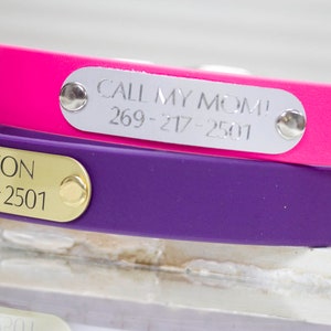 May include: Two dog collars with engraved name tags. The top collar is pink with a silver tag that reads "CALL MY MOM! 269-217-2501". The bottom collar is purple with a gold tag that reads "WINSTON 269-217-2501".