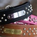 see more listings in the WIDE 2 inch Collars section